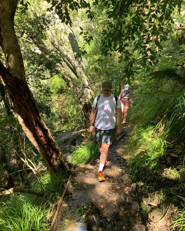 Cape Town: Skeleton Gorge and Kirstenbosch Gardens Hike - Smuts Track and the turn into Skeleton Gorge