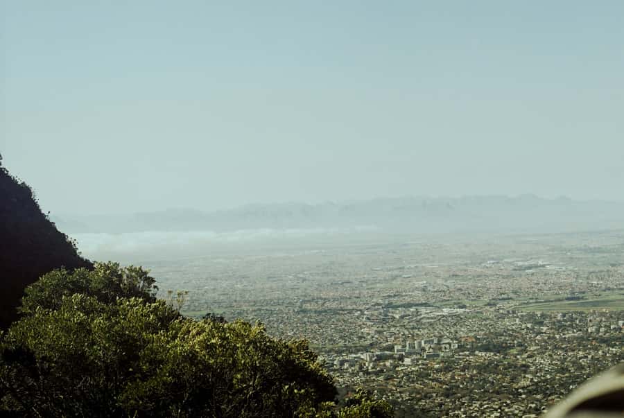 Cape Town: Skeleton Gorge and Kirstenbosch Gardens Hike - White sand and Table Mountain’s high country
