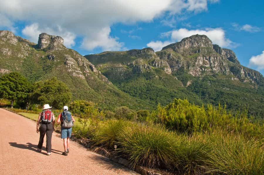 Cape Town: Skeleton Gorge and Kirstenbosch Gardens Hike - The cable car issue you need to settle first