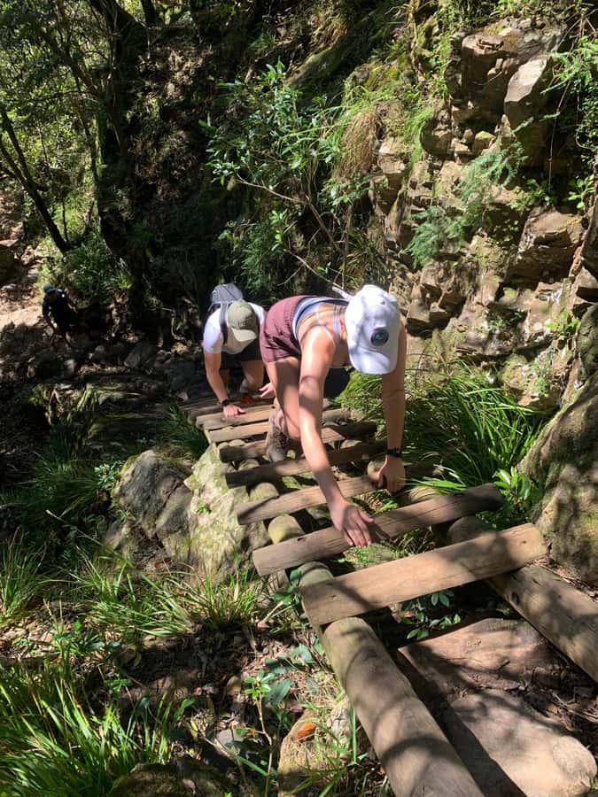 Cape Town: Skeleton Gorge and Kirstenbosch Gardens Hike - Packing for a steep Cape Town day