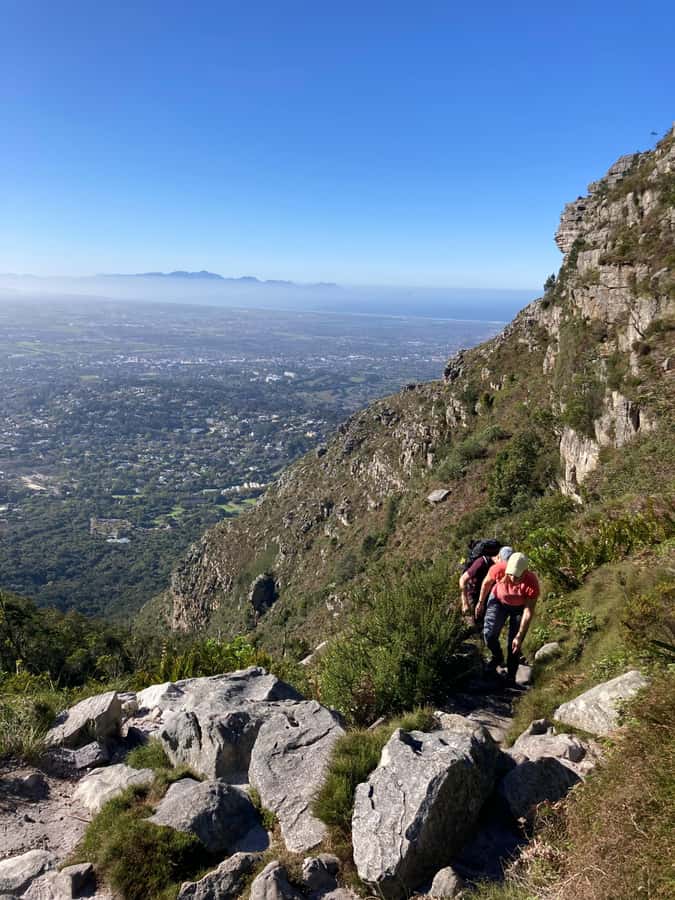 Cape Town: Skeleton Gorge Hike to Table Mountain Summit - The forest climb and first hard section