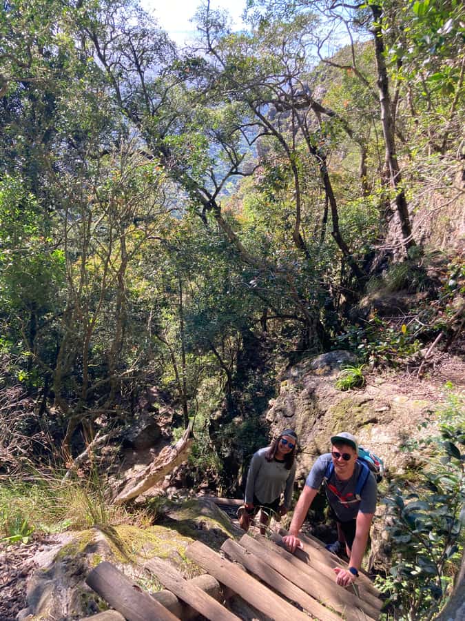 Cape Town: Skeleton Gorge Hike to Table Mountain Summit - What the guide adds to a small group