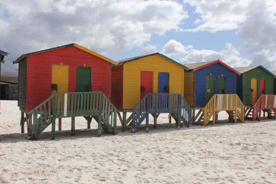 Cape Town: Some Attractions of the Cape (private & exclusiv) - A private day across the Cape Peninsula