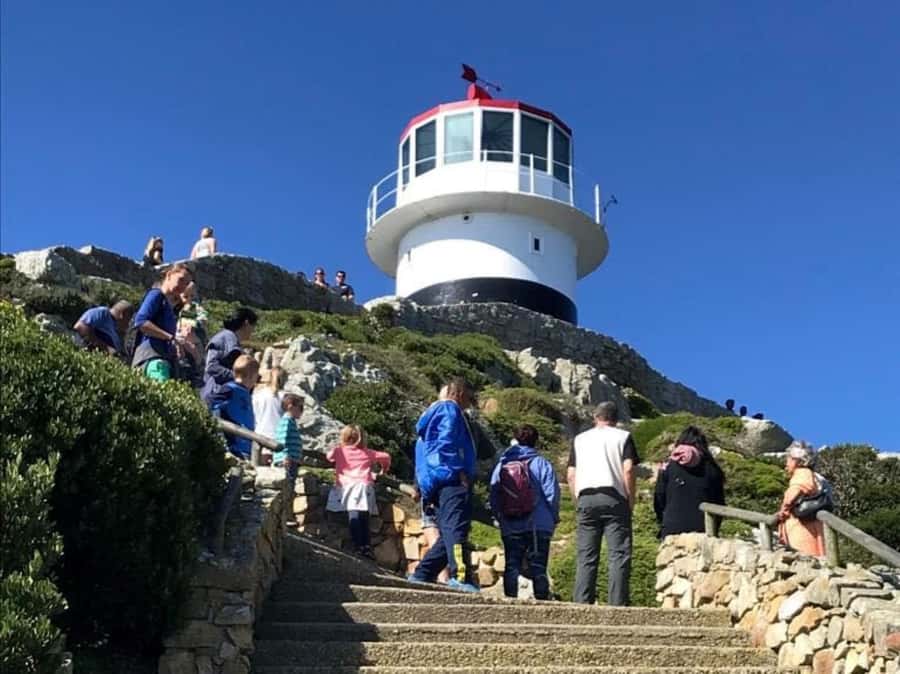 Cape Town: Some Attractions of the Cape (private & exclusiv) - The eight-hour schedule needs sensible expectations