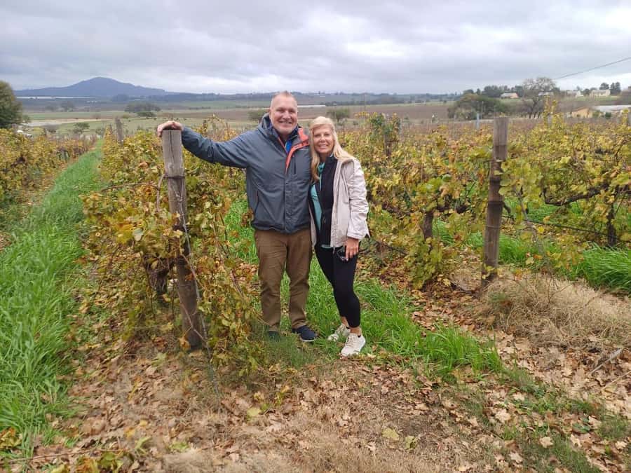 Cape Town: Stellenbosch and Paarl Half-Day Wine Tour - Key points to know before you book