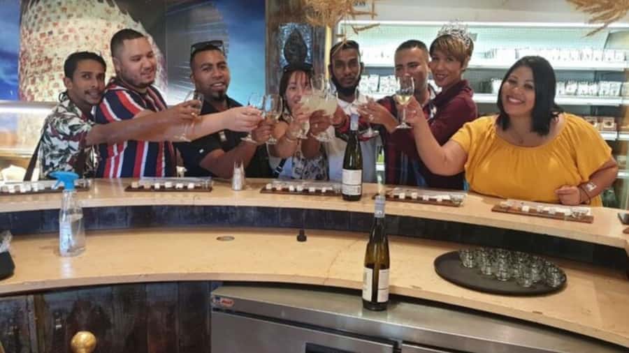 Cape Town: Stellenbosch, Franschhoek and Paarl Wine Day Trip - Five vineyards across three Cape Winelands regions