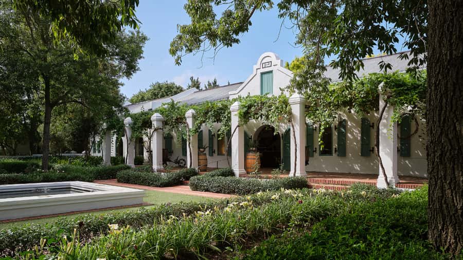 Cape Town: Stellenbosch, Franschhoek and Paarl Wine Day Trip - A walk through Stellenbosch’s old streets