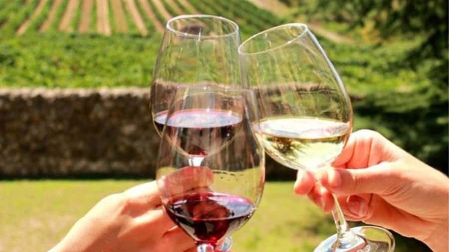 Cape Town: Stellenbosch, Franschhoek and Paarl Wine Day Trip - The long group-day question