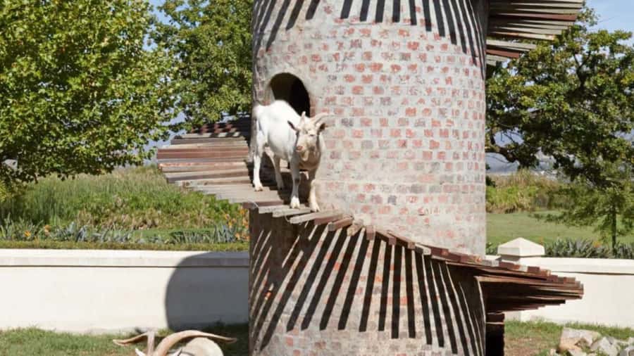 Cape Town: Stellenbosch, Franschhoek and Paarl Wine Day Trip - Paarl begins with wine, cheese, and a cellar visit