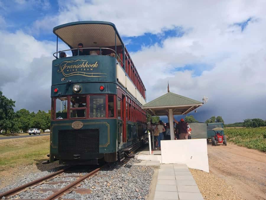 Cape Town: Stellenbosch, Franschhoek, Wine Tasting and Tram - Marianne pairs South African wine with biltong