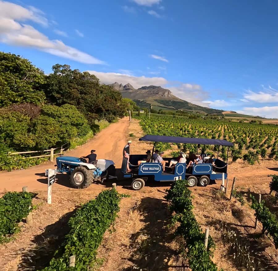 Cape Town: Stellenbosch Hop-On Hop-Off Tractor Transfer - Why a tractor works so well in Stellenbosch