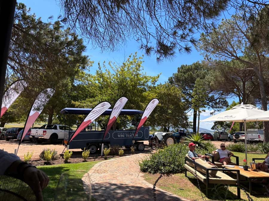 Cape Town: Stellenbosch Hop-On Hop-Off Tractor Transfer - What happens at each wine farm