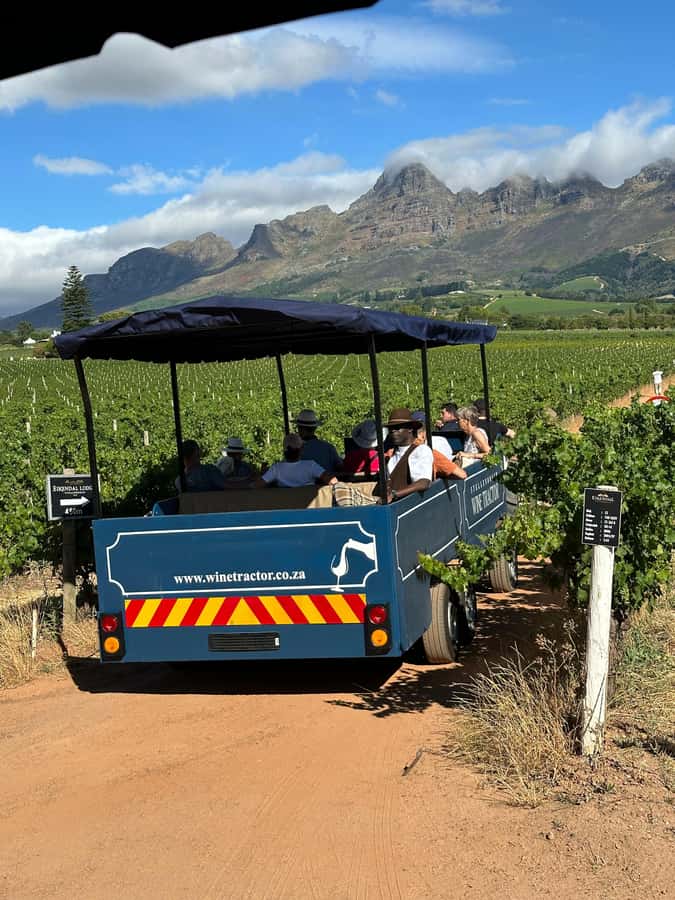 Cape Town: Stellenbosch Hop-On Hop-Off Tractor Transfer - Three stops, wine vouchers, and pacing your day