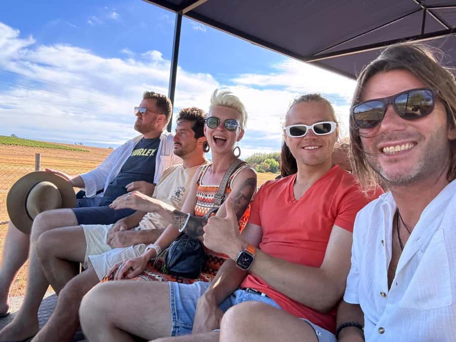 Cape Town: Stellenbosch Hop-On Hop-Off Tractor Transfer - Who should book this tractor tour