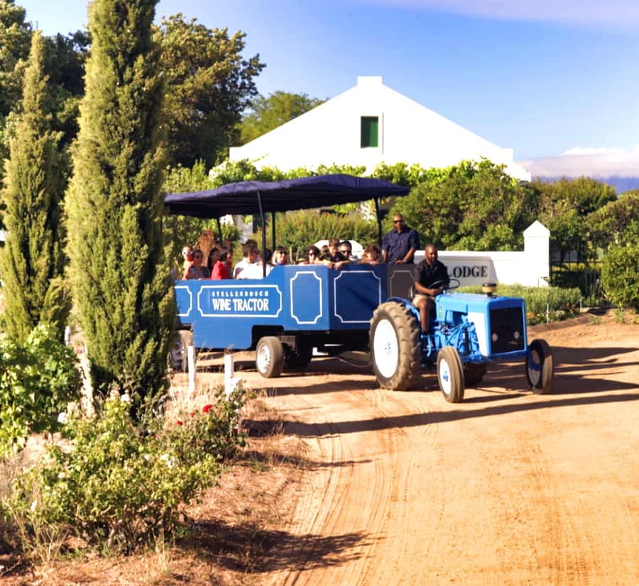 Cape Town: Stellenbosch Hop-On Hop-Off Tractor Transfer - The first vineyard ride sets the tone