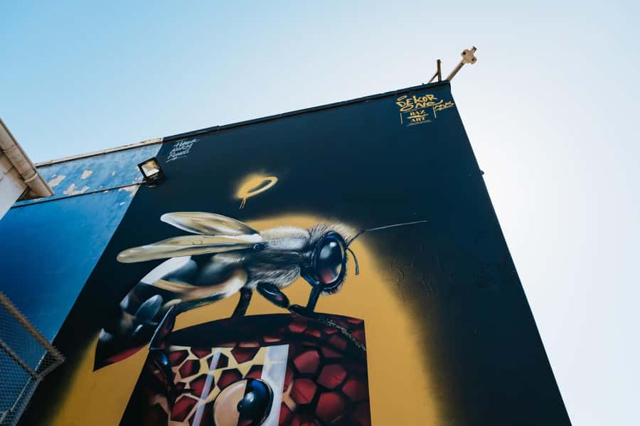 Cape Town: Street Art Walking Tour in Woodstock - Practical advice before you go