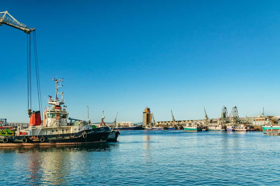 Cape Town: Sunset Champagne Cruise and 3-Course Dinner - Dinner at City Grill or Raj