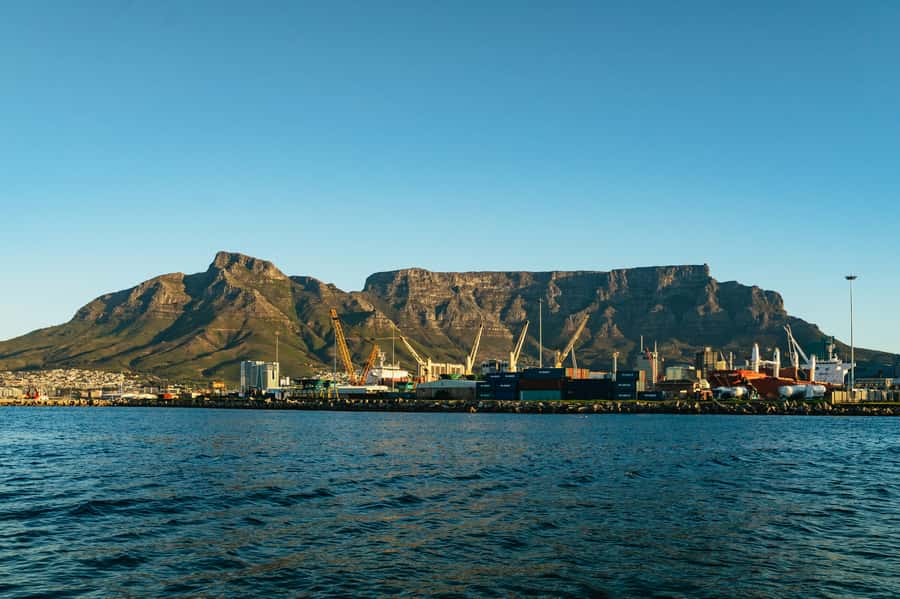 Cape Town: Sunset Champagne Cruise and 3-Course Dinner - Who should book this evening