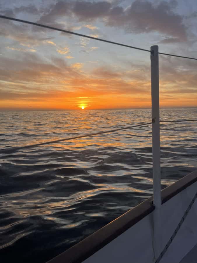 Cape Town: Sunset Cruise from V&A Waterfront with Bubbly - Who will enjoy this sunset sail?