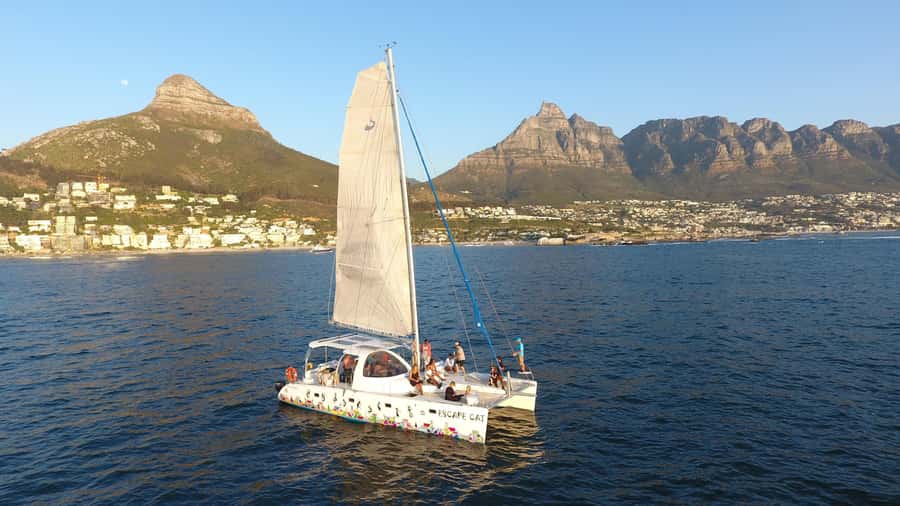Cape Town: Table Bay Cruise by Catamaran - Choosing between the trampolines and the covered aft area