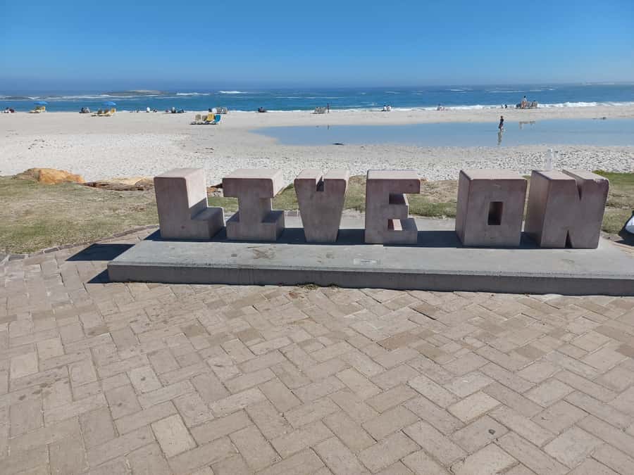 Cape Town: Table Mountain and Penguins Private Guided Tour - Boulders Beach: African penguins in a natural setting