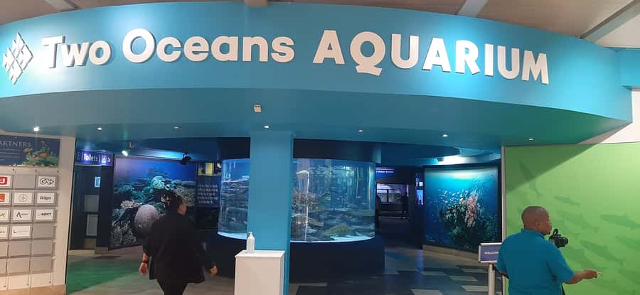 Cape Town: Table Mountain and Robben Island Tour - The V&A Waterfront break between major sights