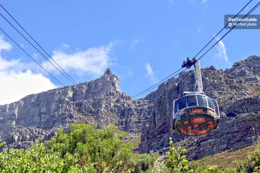 Cape Town: Table Mountain Cable Car, Hop-On Hop-Off Bus Tour - Table Mountain first, Cape Town second