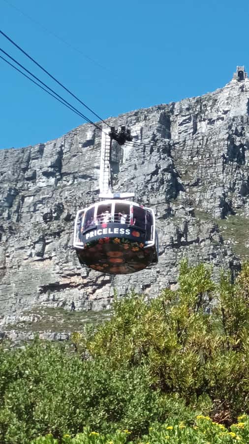 Cape Town: Table Mountain Cable Car Ticket - Handling tickets and the station queue