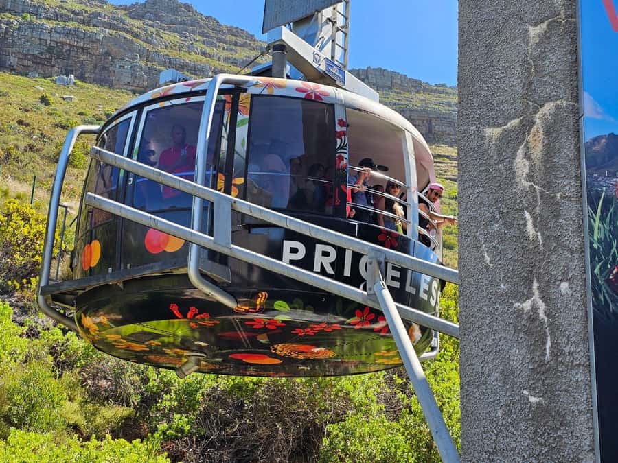 Cape Town: Table Mountain, Cape Point, & Penguins Group Tour - What this Cape Peninsula day really gives you