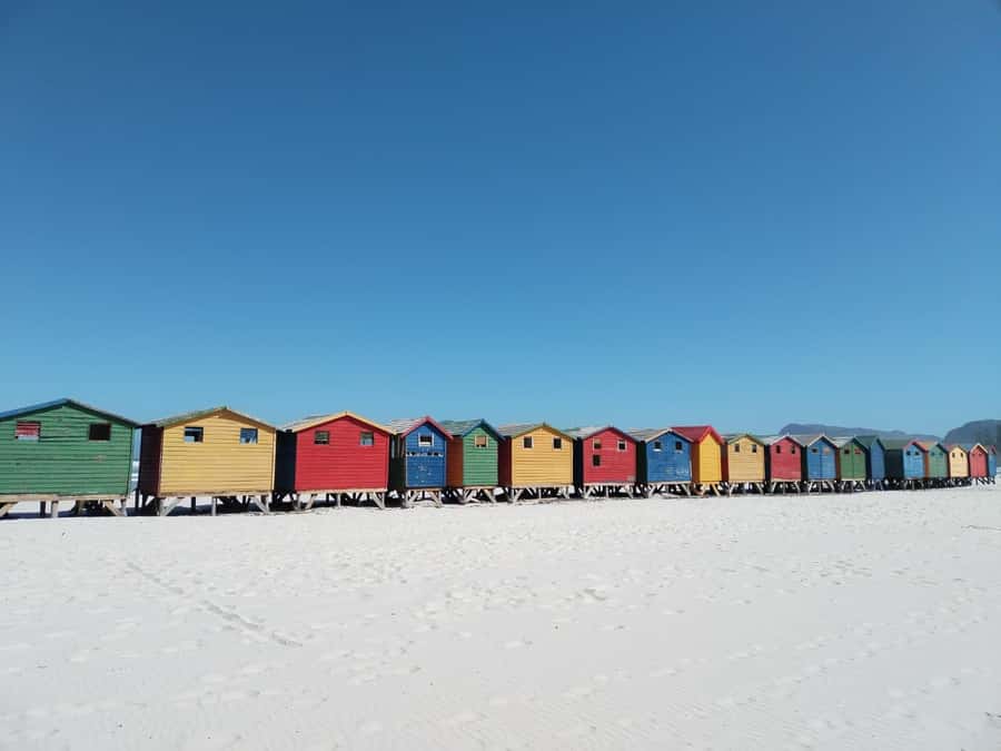 Cape Town: Table Mountain, Cape Point, & Penguins Group Tour - Ostriches and the open country near Cape Point
