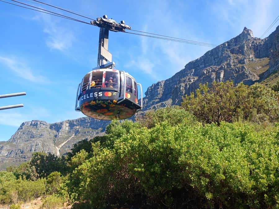 Cape Town: Table Mountain, Cape Point, & Penguins Group Tour - Muizenberg’s beach huts and Bo-Kaap’s painted homes