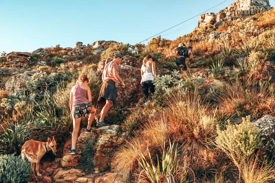 Cape Town: Table Mountain Hike via India Venster - Meeting at the Cableway and starting early