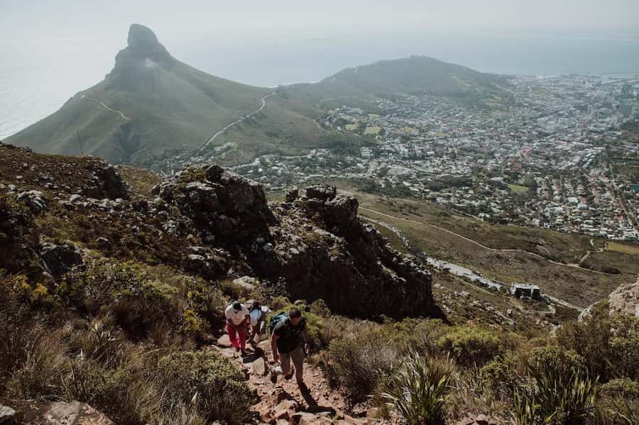 Cape Town: Table Mountain Hike with an Experienced Guide - Key points at a glance