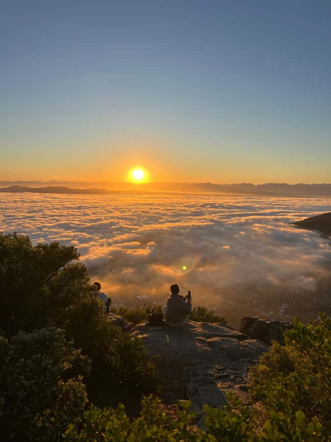 Cape Town: Table Mountain Hike with an Experienced Guide - India Venster and light scrambling