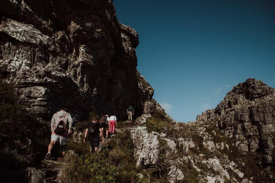 Cape Town: Table Mountain Hike with an Experienced Guide - What the four-hour itinerary feels like