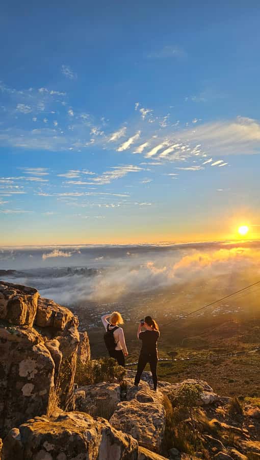 Cape Town: Table Mountain Hike with an Expert Guide - Fynbos, birds, and the mountain’s living details