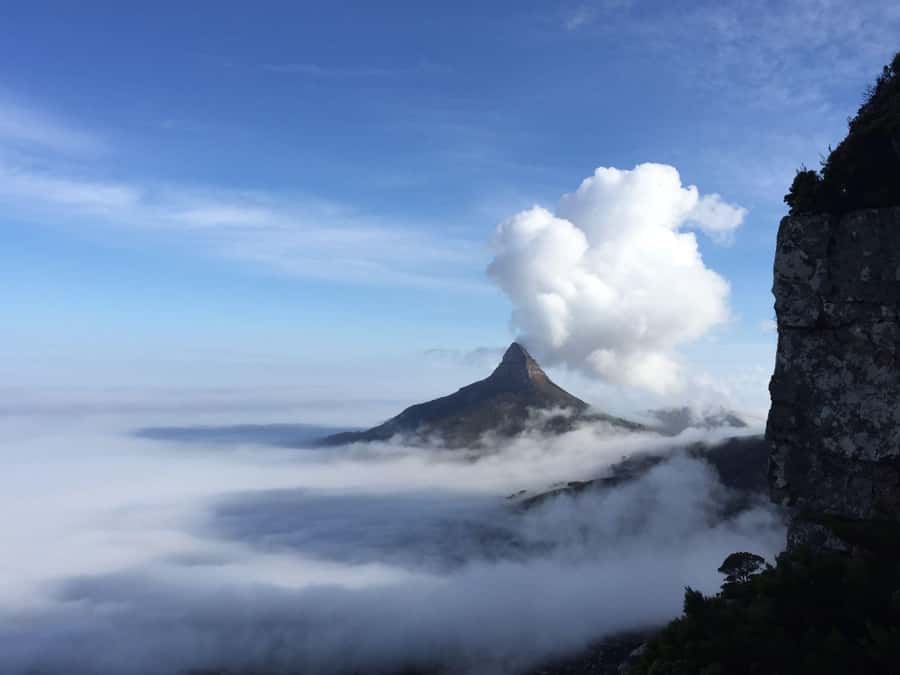 Cape Town: Table Mountain Kasteelspoort Hiking Trail - Timing, pickup, and what to pack