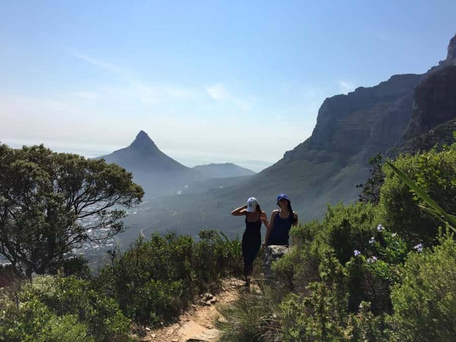 Cape Town: Table Mountain Kasteelspoort Hiking Trail - Fynbos, Proteas, and the character of the climb