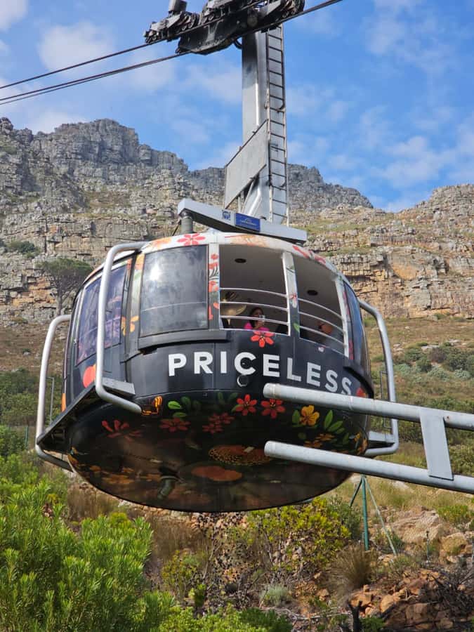 Cape Town Table Mountain Penguins & Cape Point All-inclusive - Table Mountain is the days big early payoff