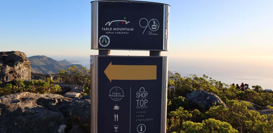 Cape Town: Table Mountain, Penguins & Cape Point Group Tour - Lunch in Simons Town keeps the day moving