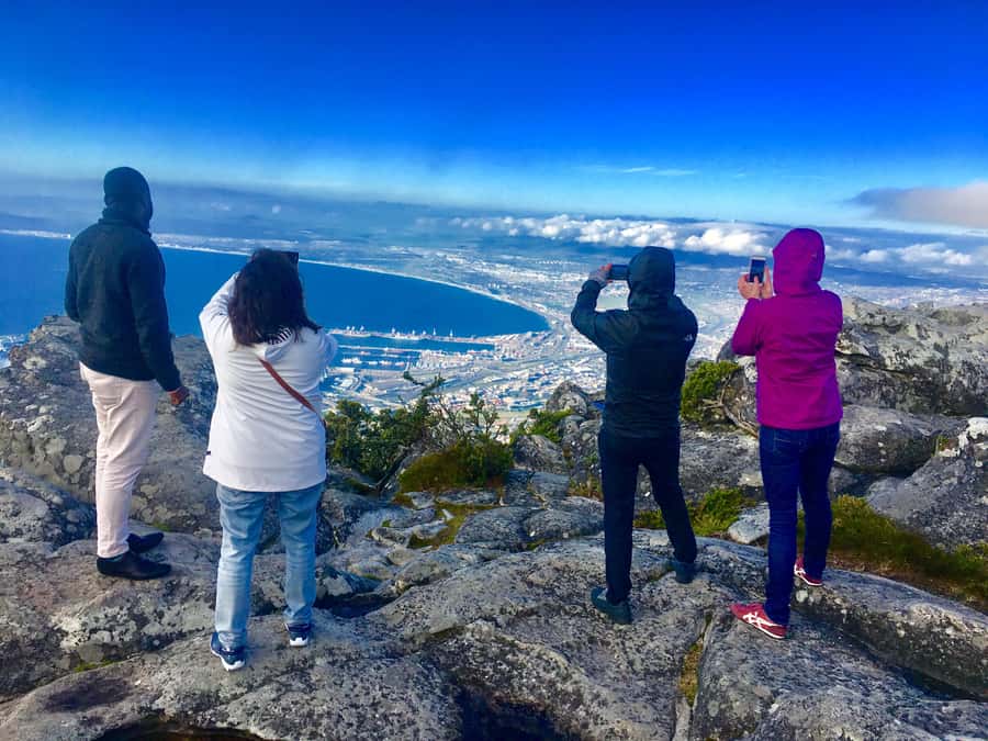 Cape Town: Table Mountain, Penguins & Cape Point Shared Tour - Table Mountain: the day begins above Cape Town