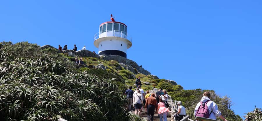 Cape Town: Tour Cape Point & Boulders Beach Penguin Day Trip - Why this Cape Peninsula route works