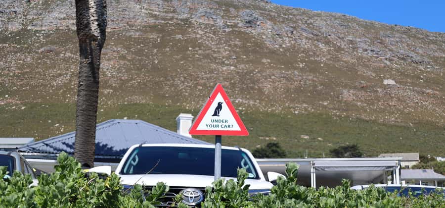 Cape Town: Tour Cape Point & Boulders Beach Penguin Day Trip - Cape of Good Hope is more than a sign