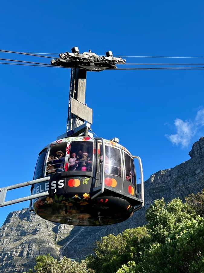Cape Town Tour: Table Mountain, Penguins & Cape Point+Pickup - Key points to know before booking
