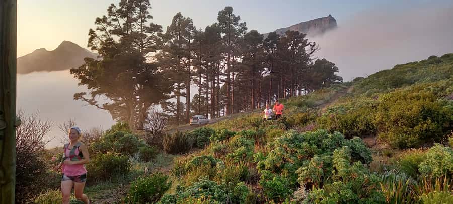 Cape Town: Trail Run Lion's Head and Signal Hill Morning - Key points to know before you run