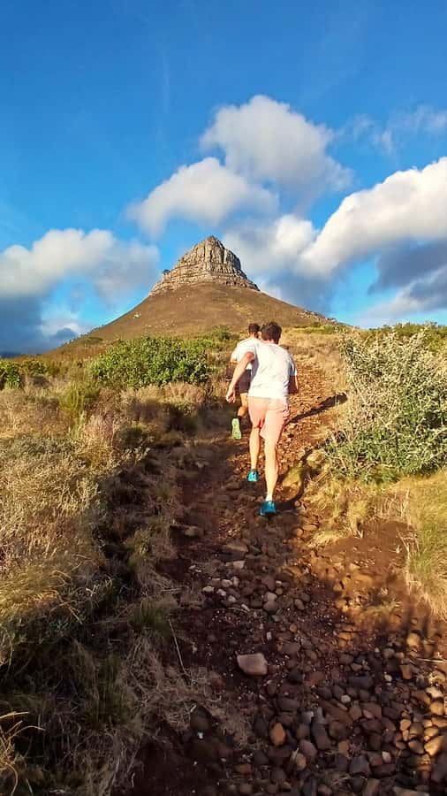 Cape Town: Trail Run Lion's Head and Signal Hill Morning - Is $73 a fair price for two hours?