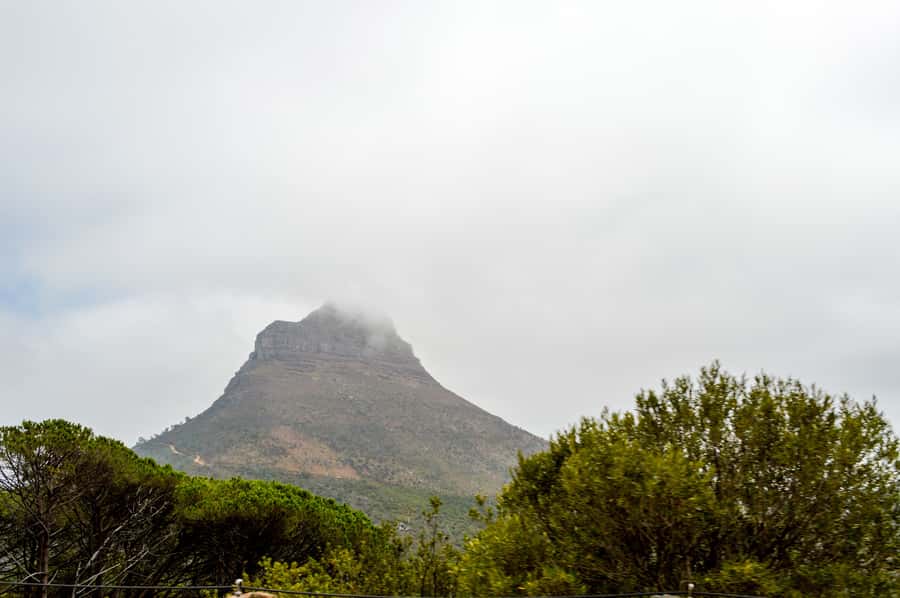 Cape Town Uncovered : Half-Day City Tour and Table Mountain - Reaching Table Mountain by rotating cable car