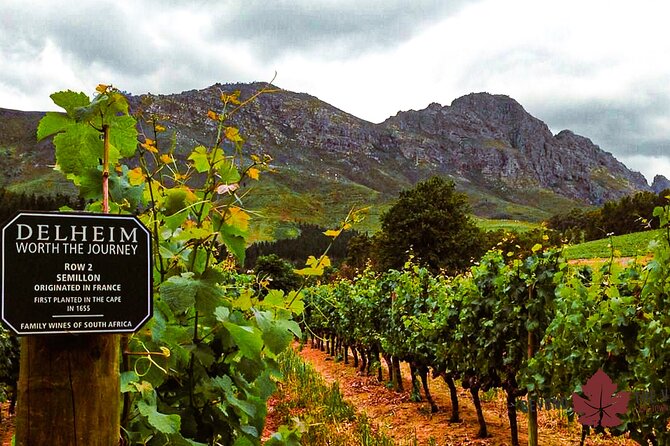 Cape town - Unique Private wine tour Blend & bottle own wine - 9:00 a.m. pickup and a private start
