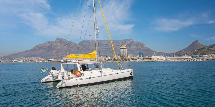 Cape Town: V&A Waterfront 1-Hour Scenic Cruise - Who Will Enjoy This Cruise Most
