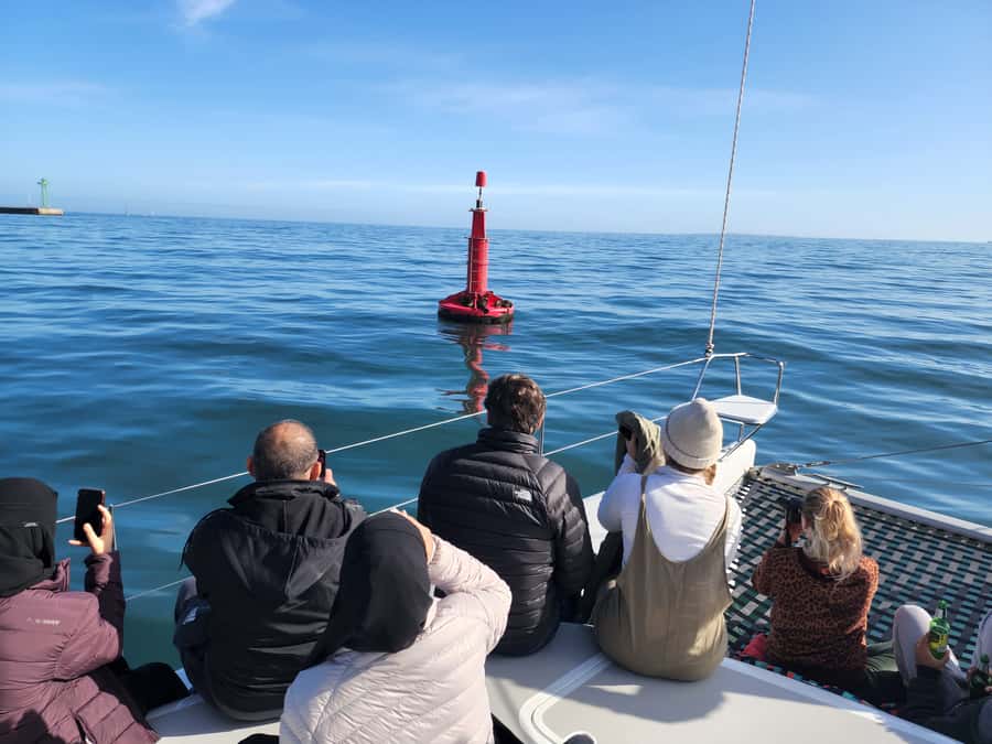 Cape Town: V&A Waterfront Gin Voyage Cruise - Booking advice for a smooth departure